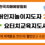 실버인지놀이지도자 2급 +요터치건강교육지도자 2급 통합 패키지